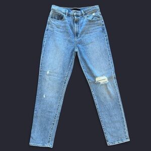 Joe’s Jeans The Raine High Rise Slim Straight Light Blue Distressed Ripped Jeans